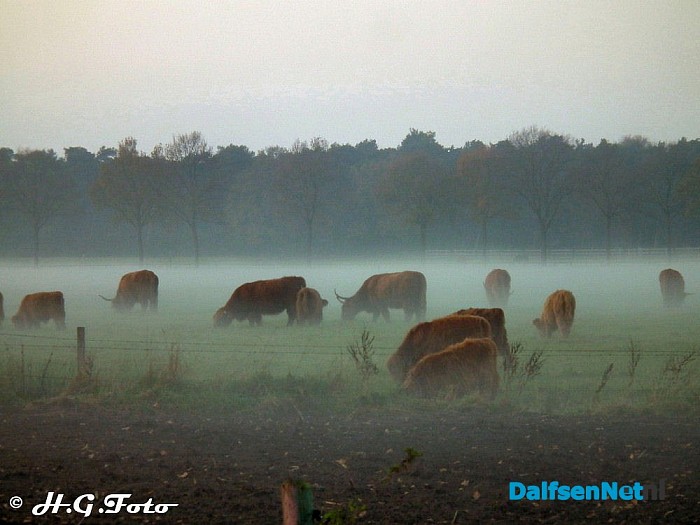 Weer een greep uit het H.G. foto archief. - Foto: H.G. Foto