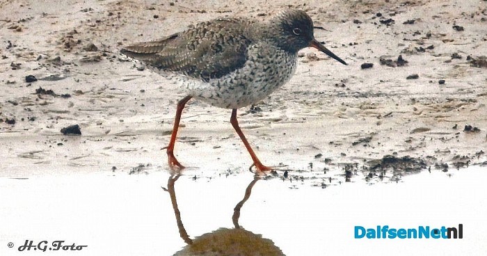 Zo maar een paar H.G. foto,s - Foto: H.G. Foto