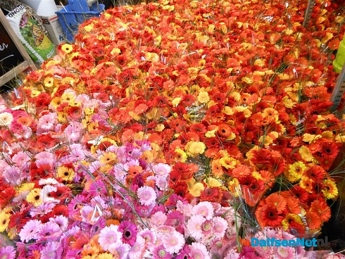Dalfsen weer een weekend volop in de bloemen.