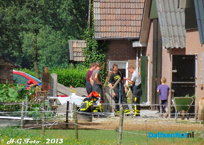 Prio 2 Dierenhulp Oosteinde Nieuwleusen. - Foto: H.G. Foto