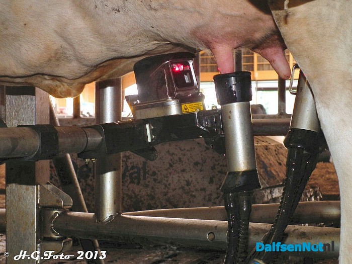 Open dag bij de Vennefarm. - Foto: H.G. Foto
