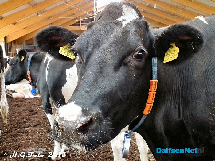 Open dag bij de Vennefarm. - Foto: H.G. Foto