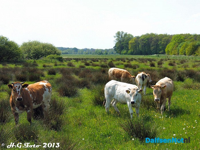Zo maar een paar H.G. foto’s - Foto: H.G. Foto
