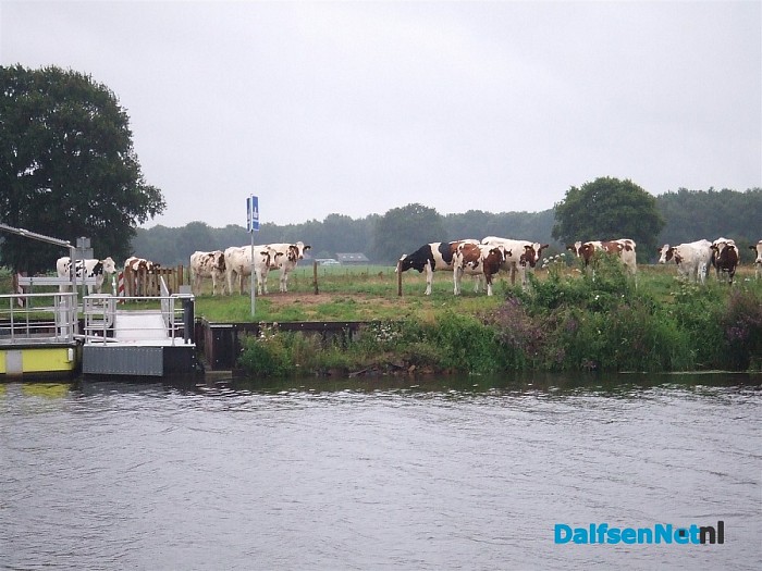 Het was erg druk aan de overkant .