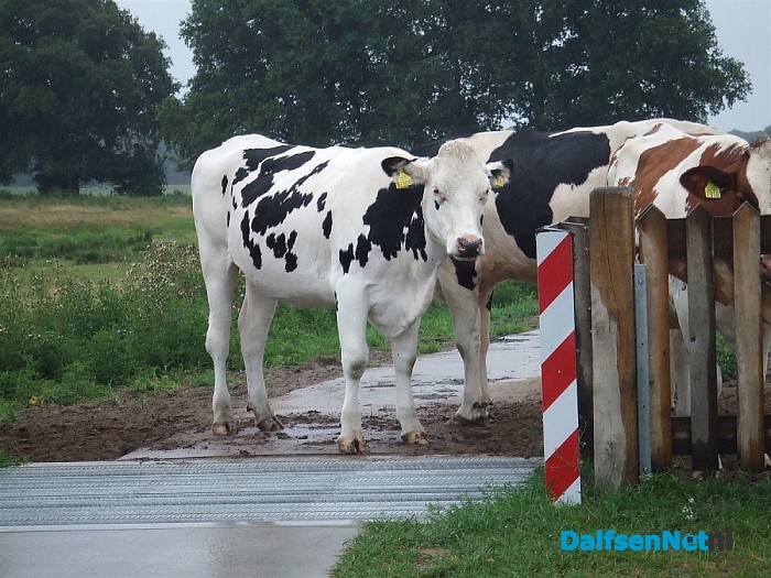 Het was erg druk aan de overkant .