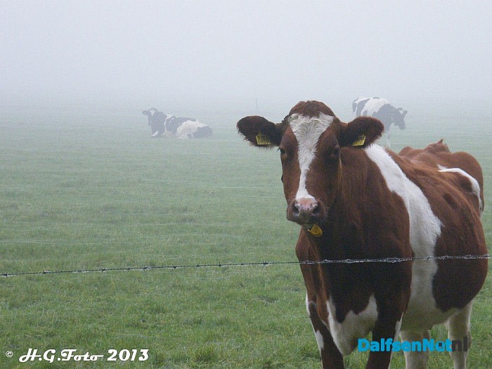 Zo maar een paar H.G. foto’s - Foto: H.G. Foto