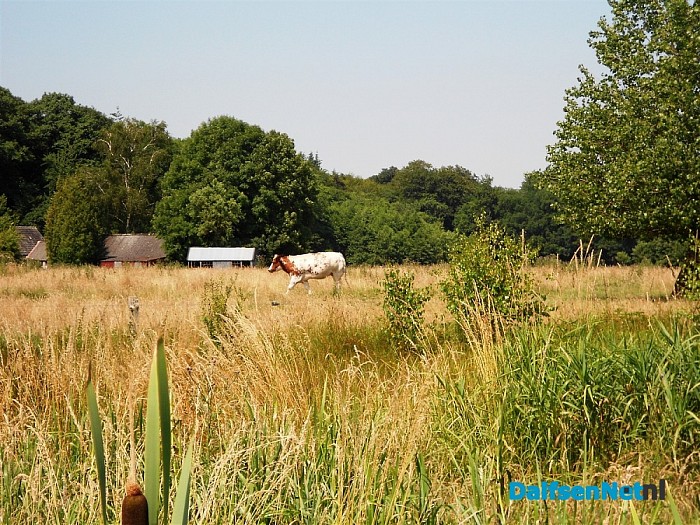 Zo maar wat omgevings foto’s