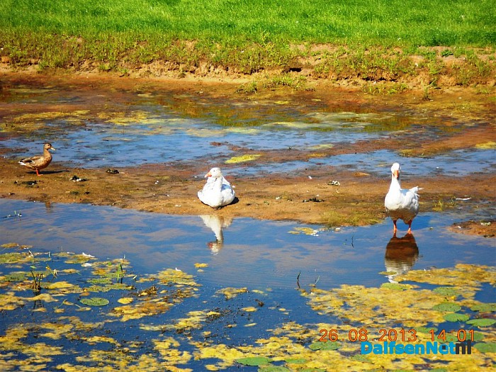Zo maar wat omgevings foto’s