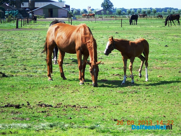 Zo maar wat omgevings foto’s