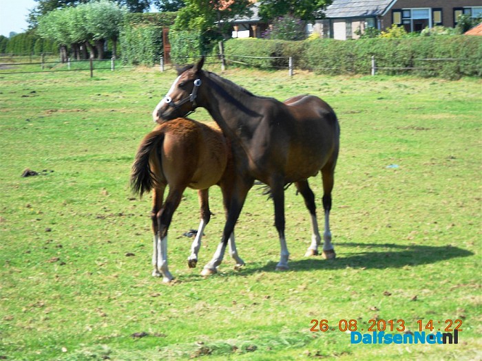 Zo maar wat omgevings foto’s