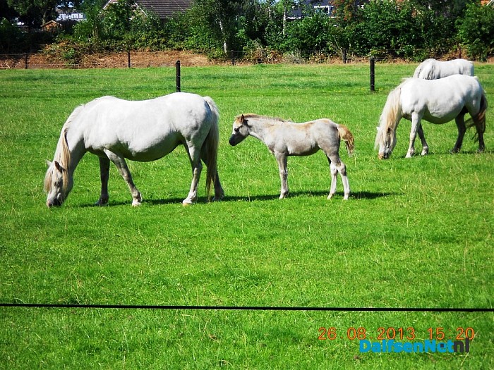 Zo maar wat omgevings foto’s