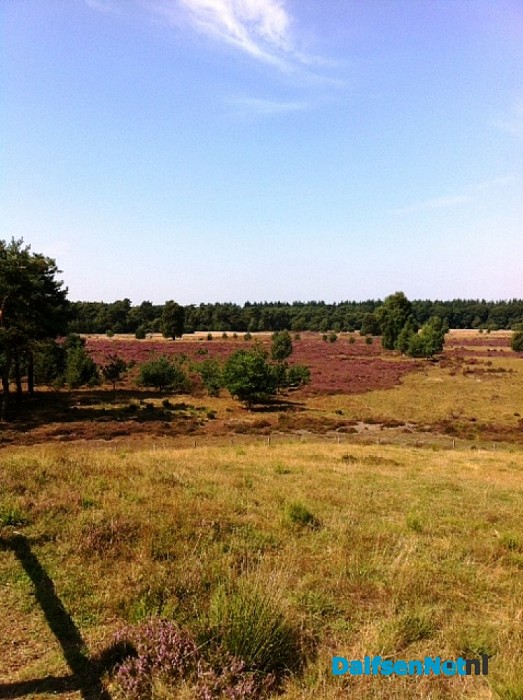 Afvaardiging van Gemeentebelangen Dalfsen op bezoek op de Vennenberg bij Fam. Nimeijer.