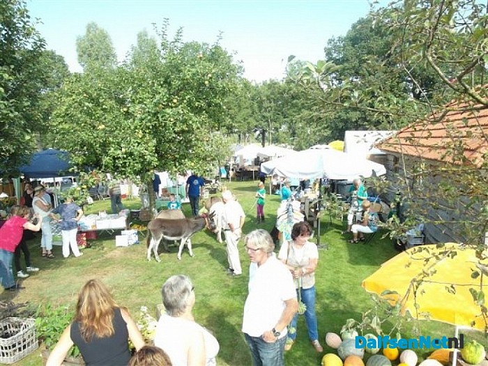 Nazomerse snuffelmarkt op het boerenerf