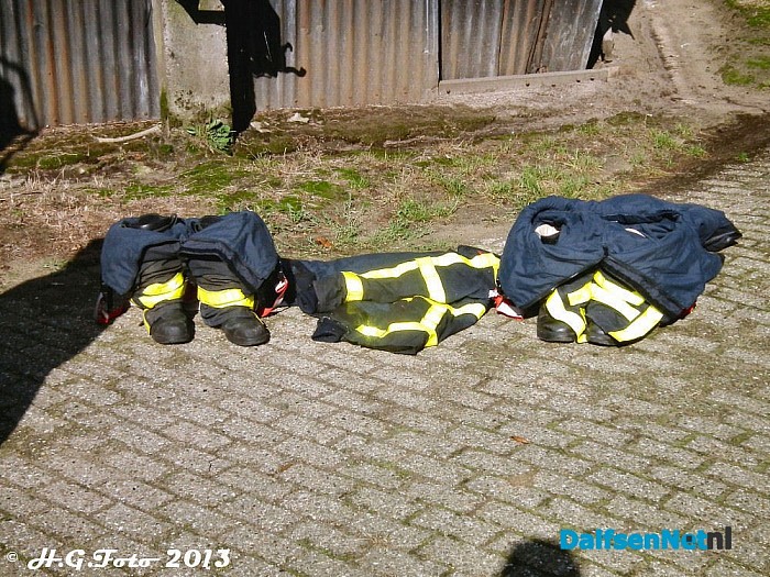Koe in de mestkelder - Foto: H.G. Foto