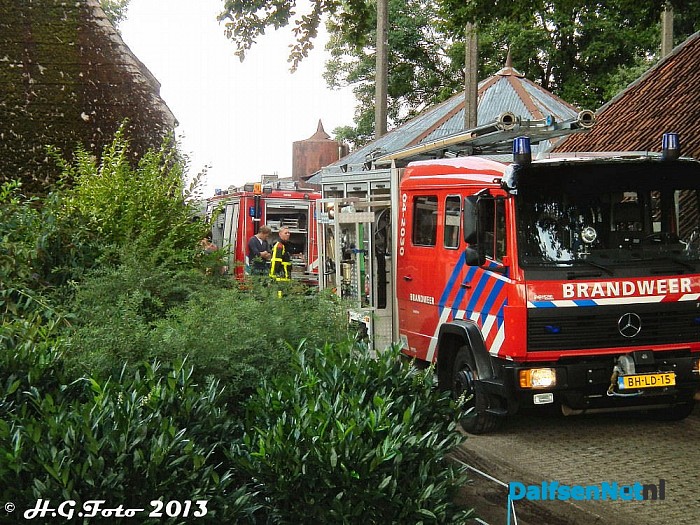 Koe in de mestkelder - Foto: H.G. Foto