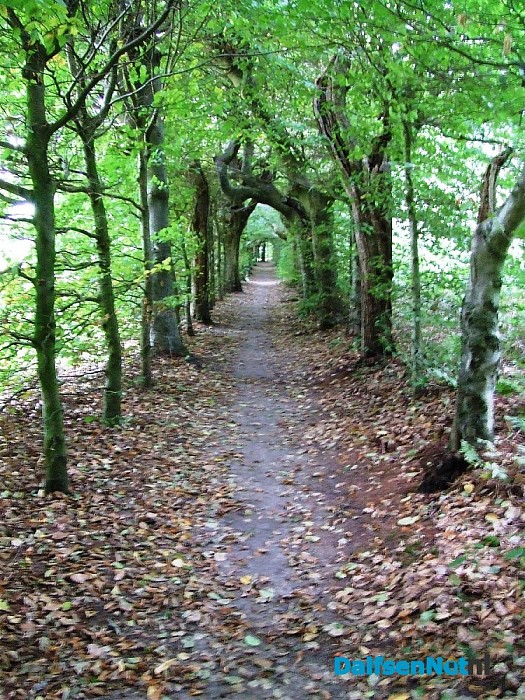 Grote Hagenweg, een zeedijk