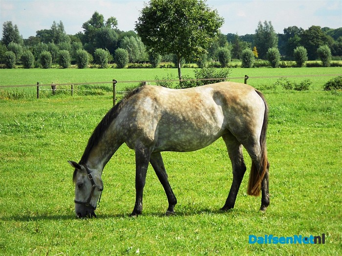 Dikke bewolking kan ook mooie plaatjes opleveren