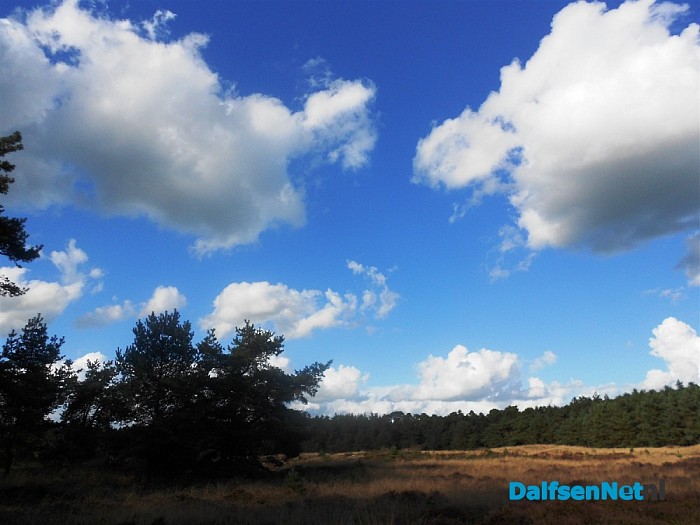 Heide bij de Heideweg
