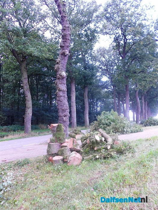 Rechterensedijk: ze zijn nog volop bezig!