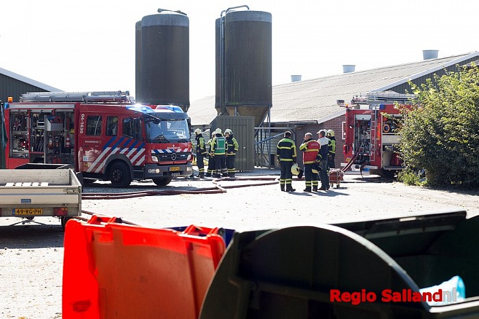 Groot alarm voor brand in kuikenschuur in Laag Zuthem - Foto: Pim Haarsma