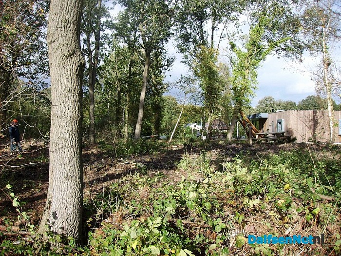 Bijna boom op woning