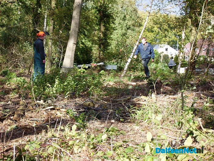 Bijna boom op woning