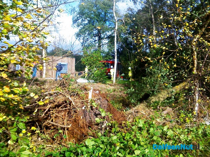 Bijna boom op woning