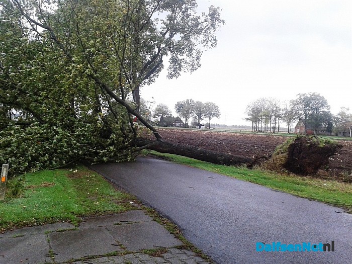 Omgevallen boom aan Hoevendwarsweg.