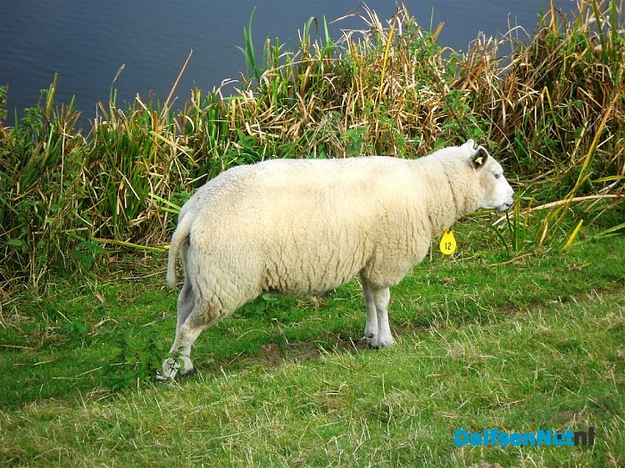 Beelden uit de omgeving