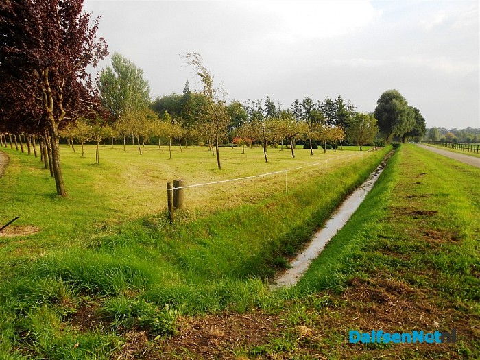 Appelboomgaard in herfskleuren