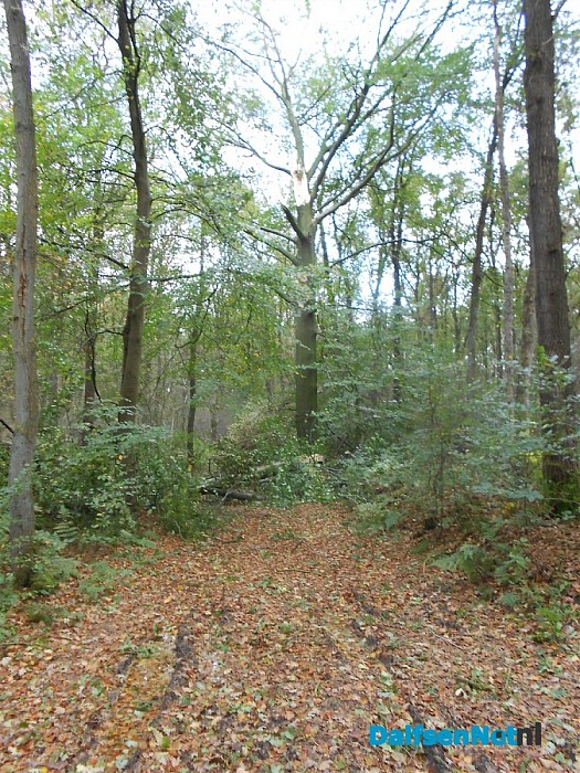 En toen was de weg weg