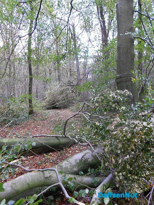 En toen was de weg weg
