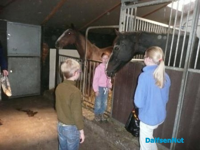 Rommelmarkt bij t Olde Manegepeerd