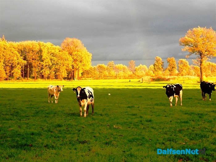 Dat zeggen ze ook: na regen komt zonneschijn