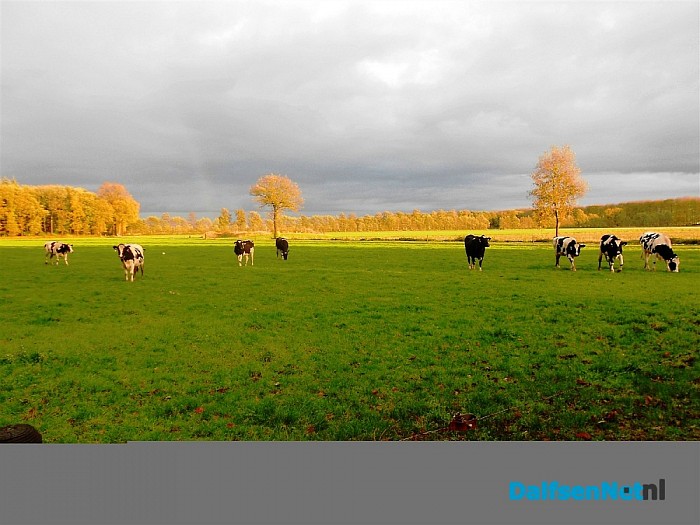 Dat zeggen ze ook: na regen komt zonneschijn