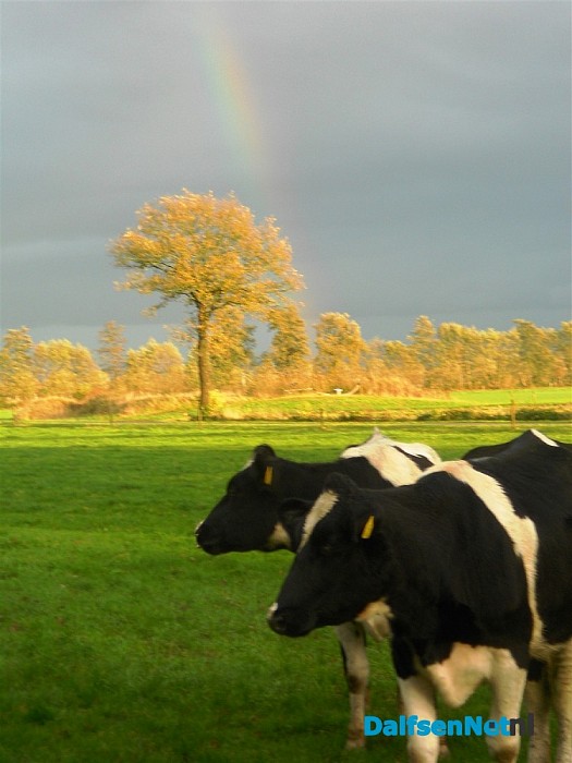 Dat zeggen ze ook: na regen komt zonneschijn