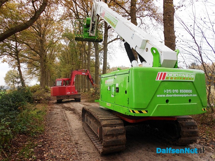 Groot onderhoud bomen Bosrandweg