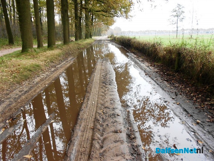Groot onderhoud bomen Bosrandweg