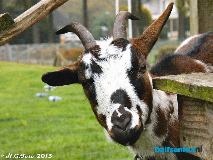 Zo maar een paar H.G.Foto,s (6) - Foto: H.G. Foto