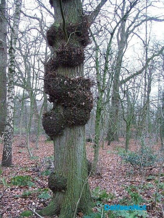 Ik stond voor paal vanmorgen. Wat betekent dit?