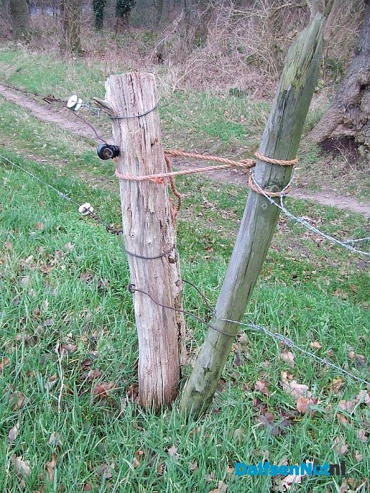 Ik stond voor paal vanmorgen. Wat betekent dit?