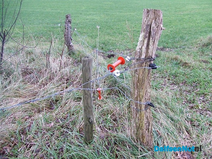 Ik stond voor paal vanmorgen. Wat betekent dit?