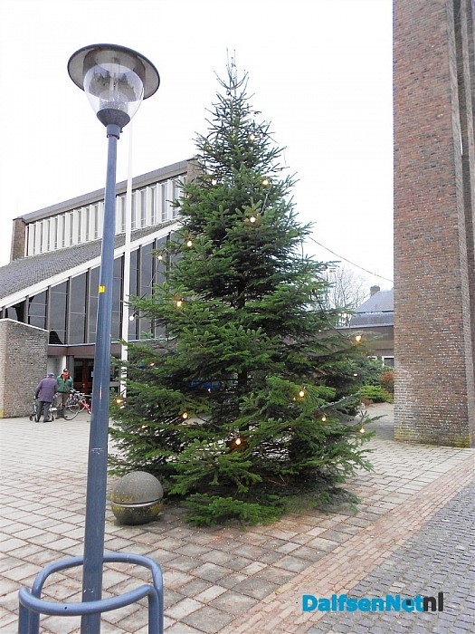 De kerstbomen staan weer