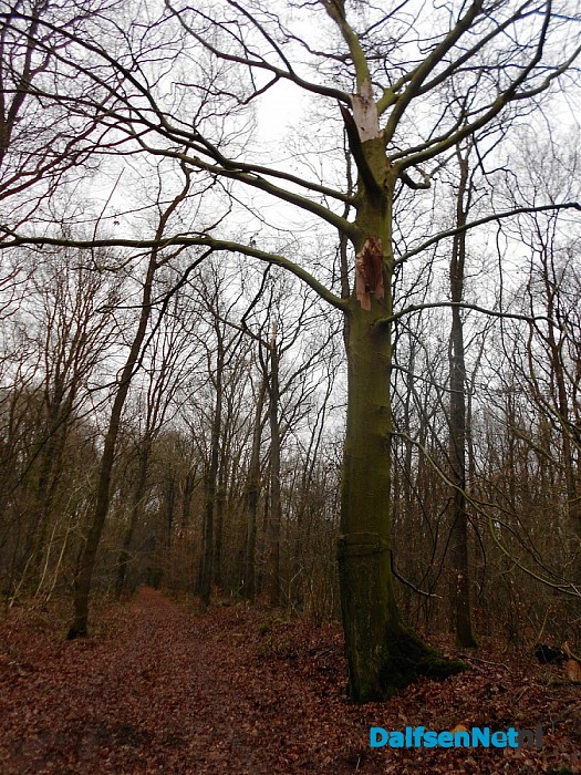 Landgoed de Bokkenberg weer bereikbaar