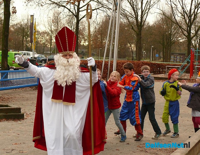 Zie ginds komt de….. maishakselaar?