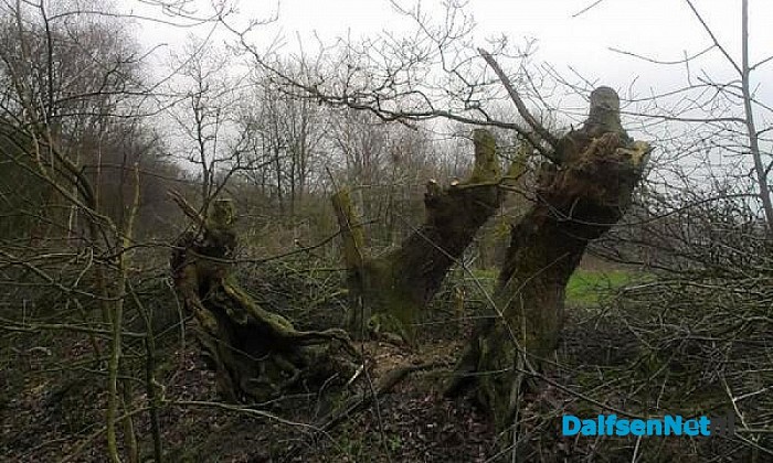 K(n)apwerk bij Landschap Overijssel