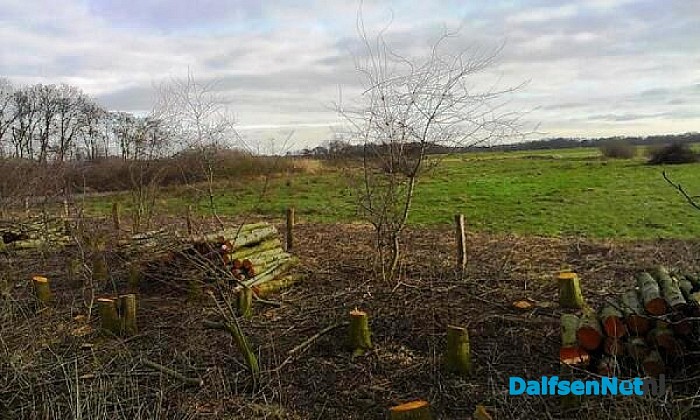 K(n)apwerk bij Landschap Overijssel