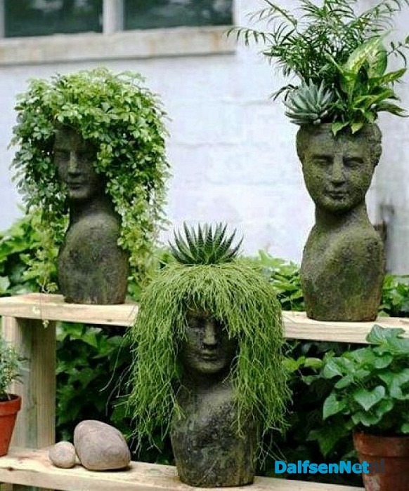 Binnenkort première Nederlandse Haarlijn