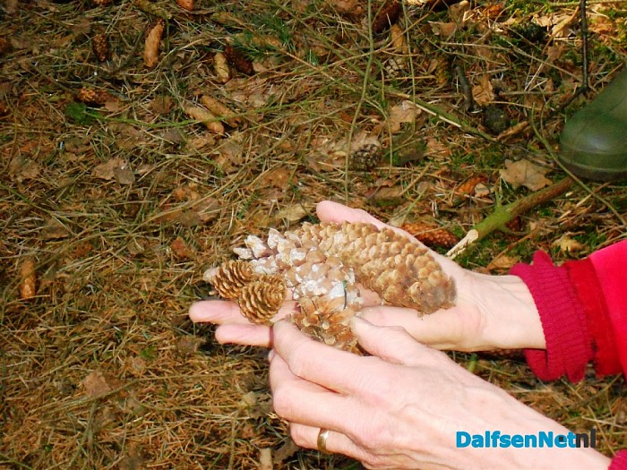 Met de vrouw van de boswachter het bos in
