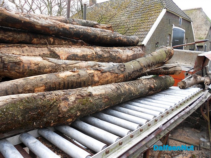 Koens maakt zelf haardhout